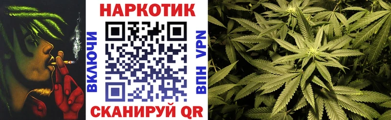 Виды наркотиков купить Жердевка Псилоцибиновые грибы СК МЕФ Конопля
