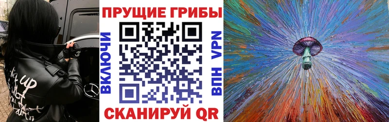 Псилоцибиновые грибы ЛСД  mega сайт  Жердевка 