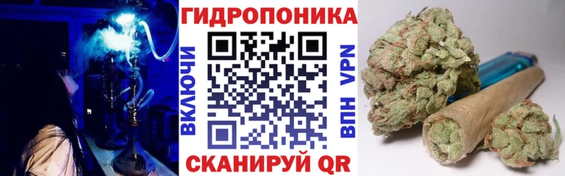купить закладку  Жердевка  Канабис Bruce Banner 